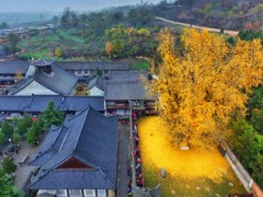 甘肅平?jīng)鍪邪l(fā)布電采暖電價(jià)執(zhí)行情況公告