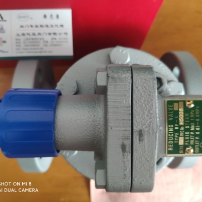 日本VENN閥天蒸汽減壓閥RP-6總代直供 上海