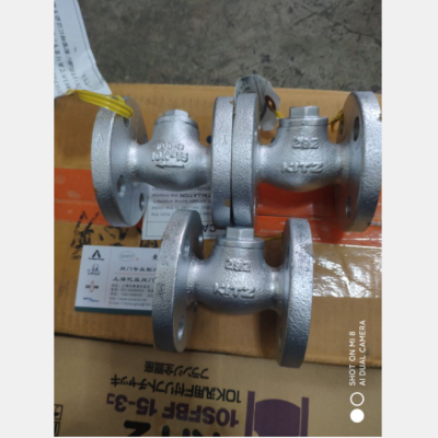 日本TLV閥門-20K止回閥 進(jìn)口TLV旋啟式止回閥