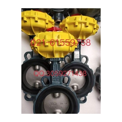 原裝正品 德國依博羅EBRO氣動扇形蝶閥