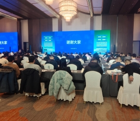 碳是未來(lái)發(fā)展方向