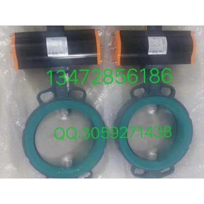 原裝進(jìn)口依博羅襯膠蝶閥EBRO氣動(dòng)執(zhí)行器EB8.1SYD